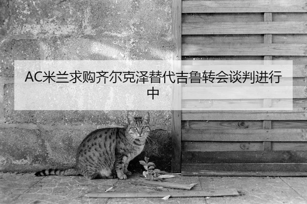 AC米兰求购齐尔克泽替代吉鲁转会谈判进行中