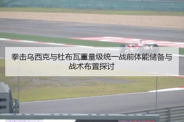 拳击乌西克与杜布瓦重量级统一战前体能储备与战术布置探讨