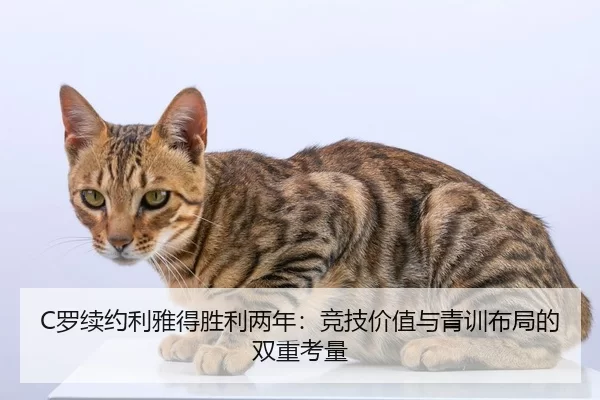 luo-xu-yue-li-ya-de-sheng-li-liang-nian-jing-ji-jia-zhi-yu-qing-xun-bu-ju-de-shuang-chong-kao-liang-2-368.jpg